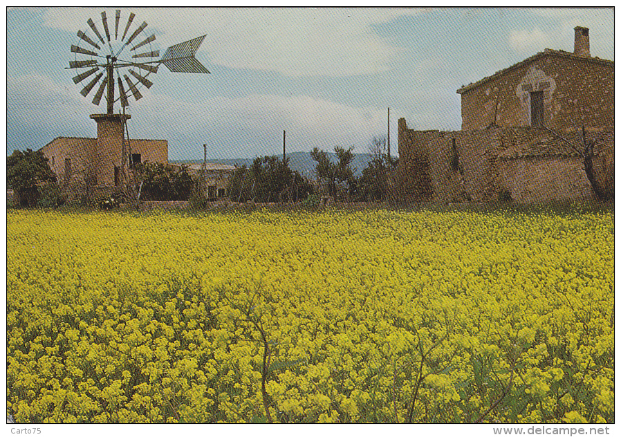 Architecture - Moulin à Vent - Mallorca - Eolienne - Granja Mallorquina - Châteaux D'eau & éoliennes