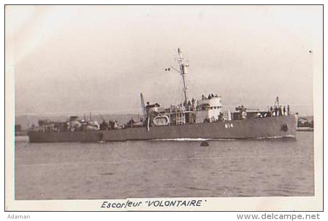 Escorteur        189        Escorteur VOLONTAIRE - Guerre