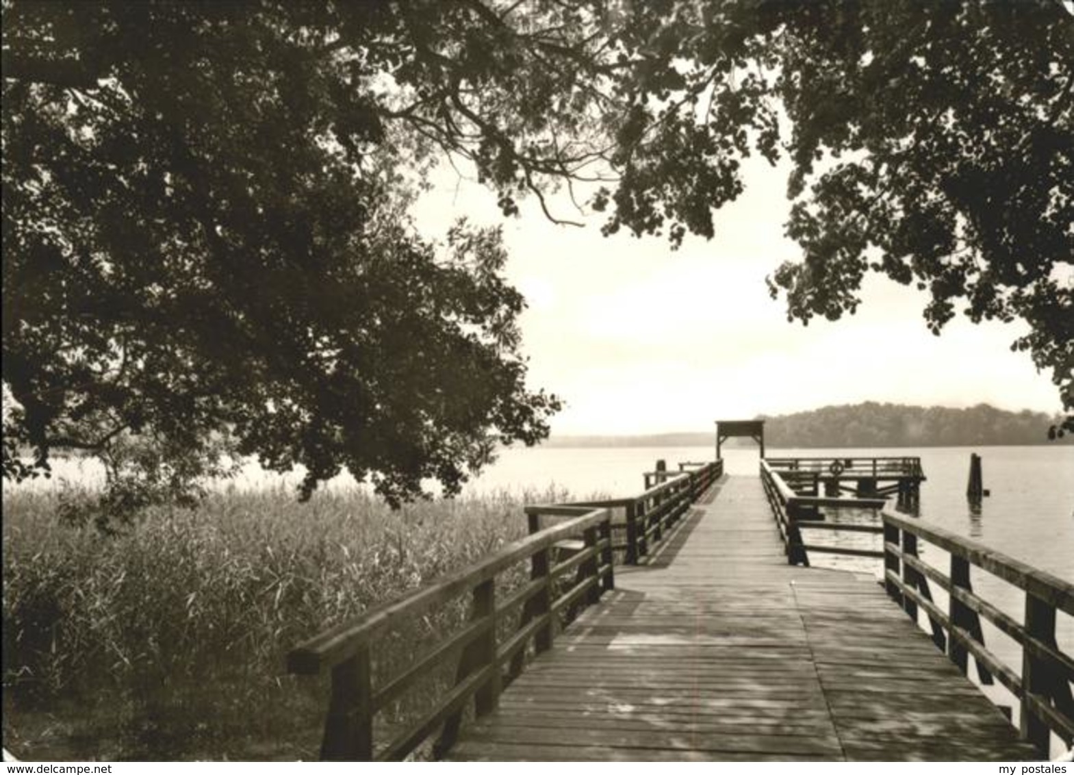 41524101 Rheinsberg Diaet Sanatorium Hohenelse Anlegestelle Am Rheinsberger See - Zechlinerhütte