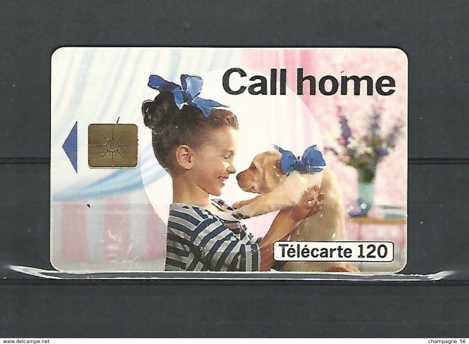 VARIÉTÉS FRANCE TÉLÉCARTE 07 / 93  CALL HOME F380C  GEM1B   120 U UTILISÉE - Variétés