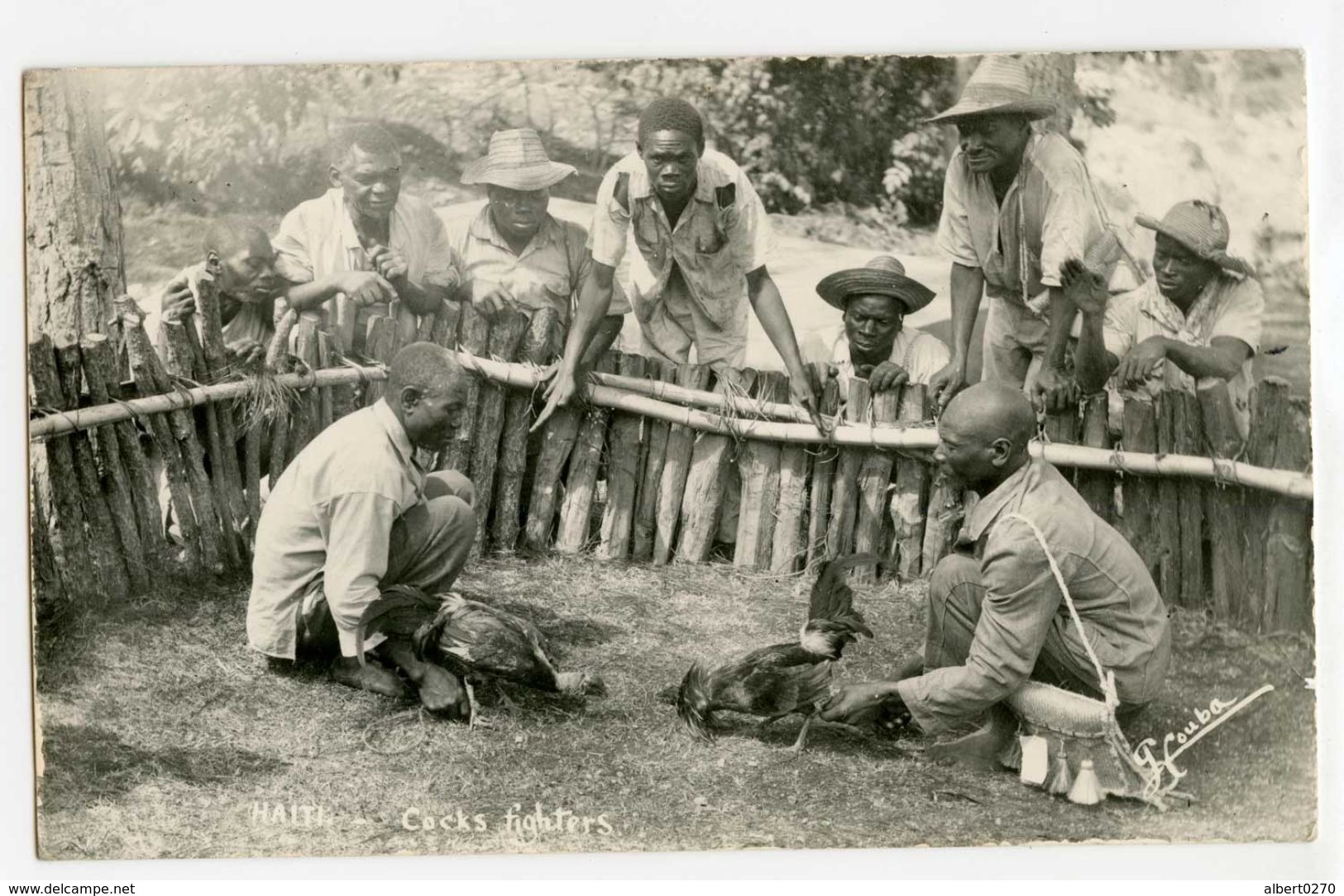 Haiti - Combat De Coqs - Monde