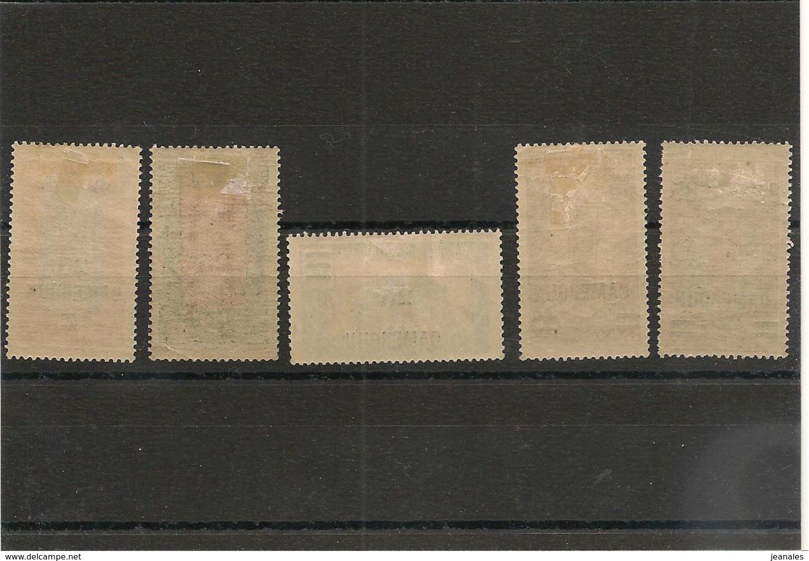 CAMEROUN Années: 1924/25  N°Y/T : 101/105* - Unused Stamps