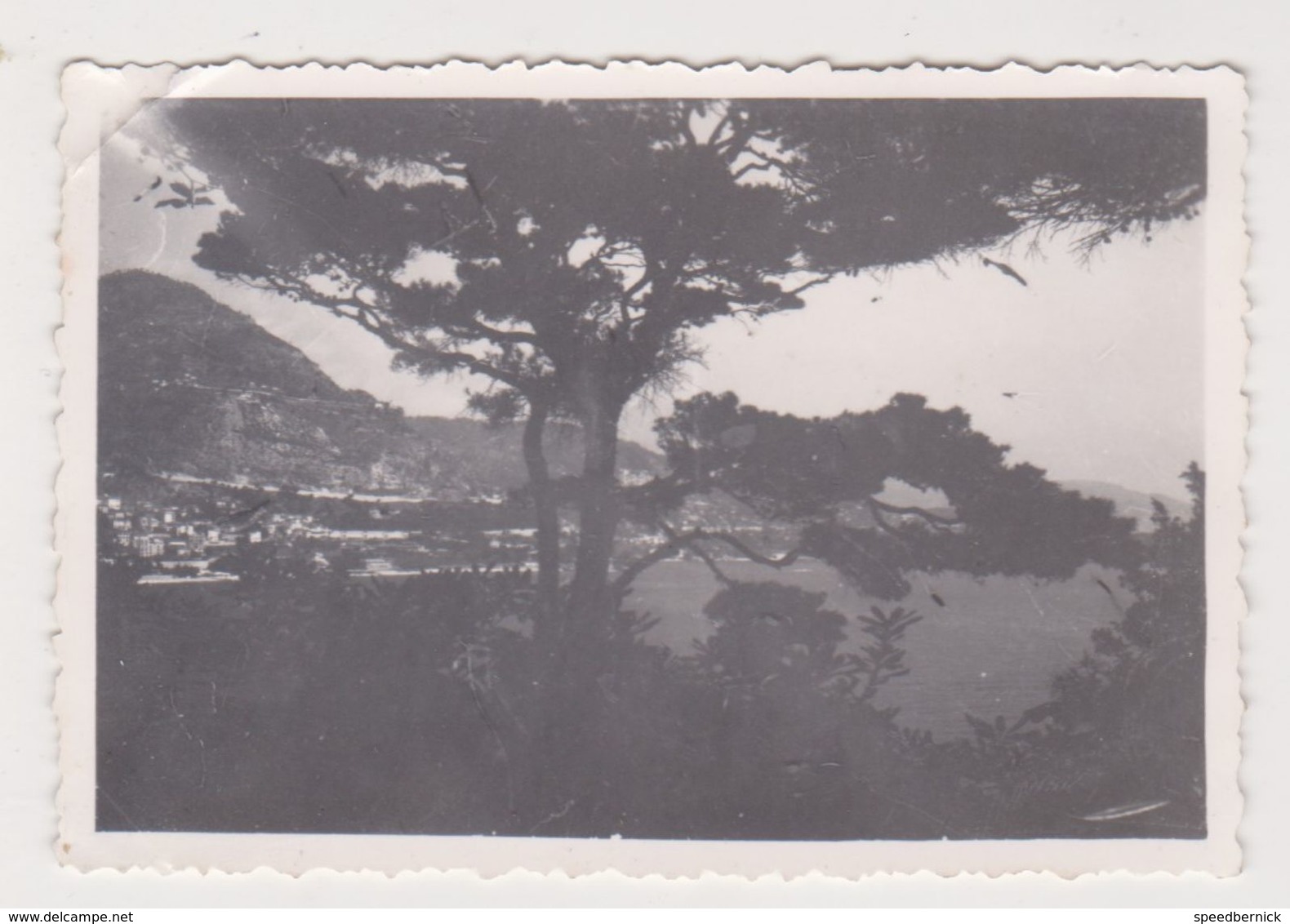 26503 Six 6 Photo France Cote D'Azur -Cap Ferrat- Vers 1950 - - Lieux