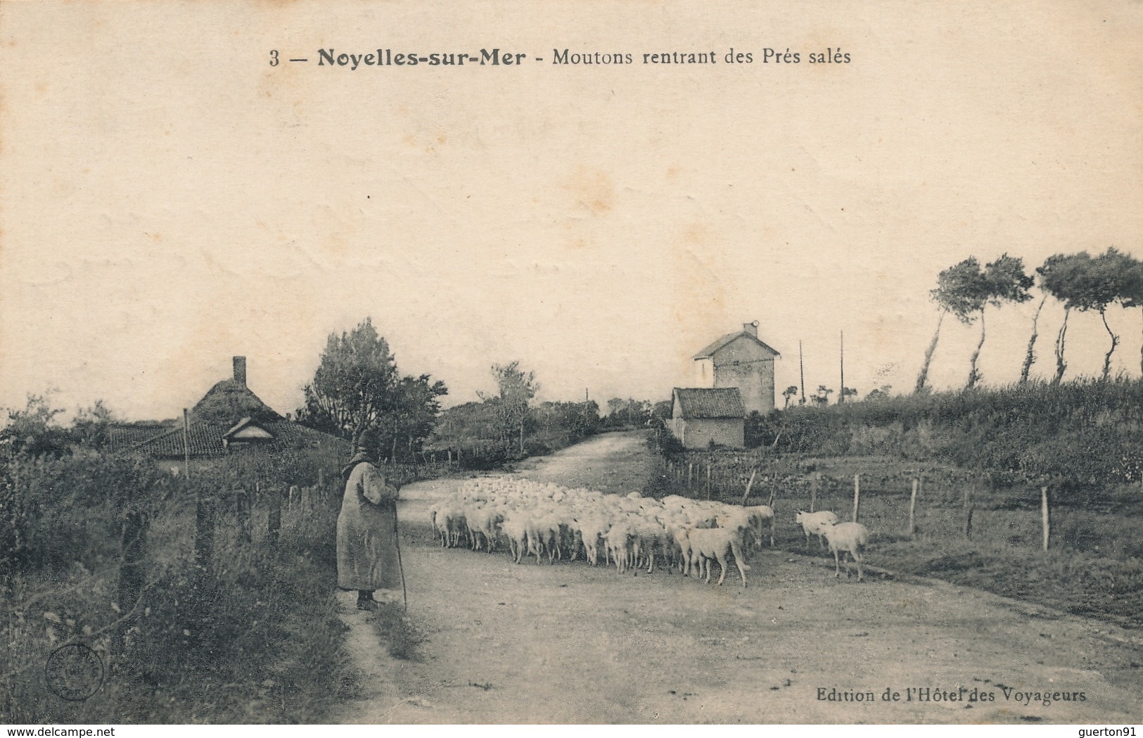 ( CPA 80 ) NOYELLES-SUR-MER  /  Moutons Rentrant Des Prés Salés - - Noyelles-sur-Mer