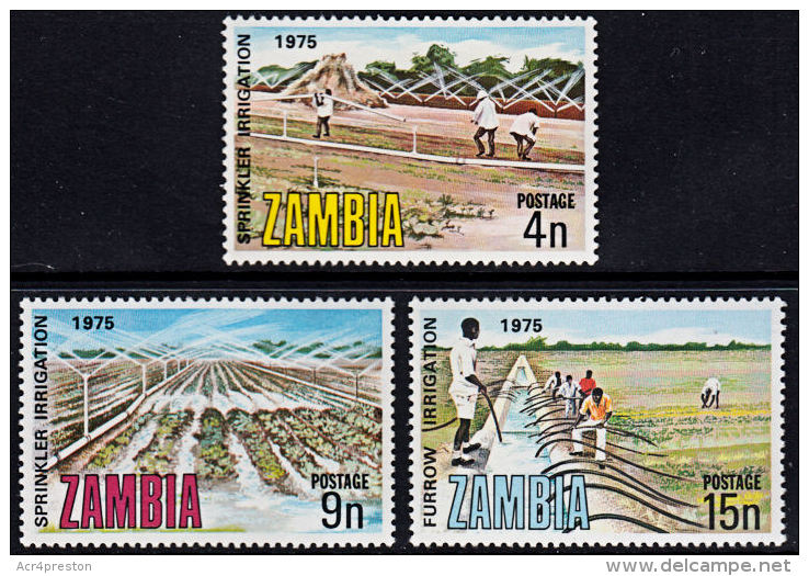 Zm0244 ZAMBIA 1975, SG 244-6 International Commission On Irrigation And Drainage,  MNH - Zambia (1965-...)