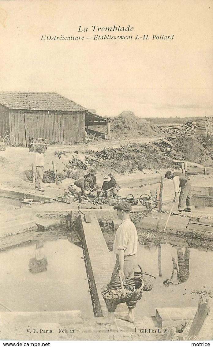 LA TREMBLADE - L'Ostréïculture, établissement J-M. Pollard. - Pêche