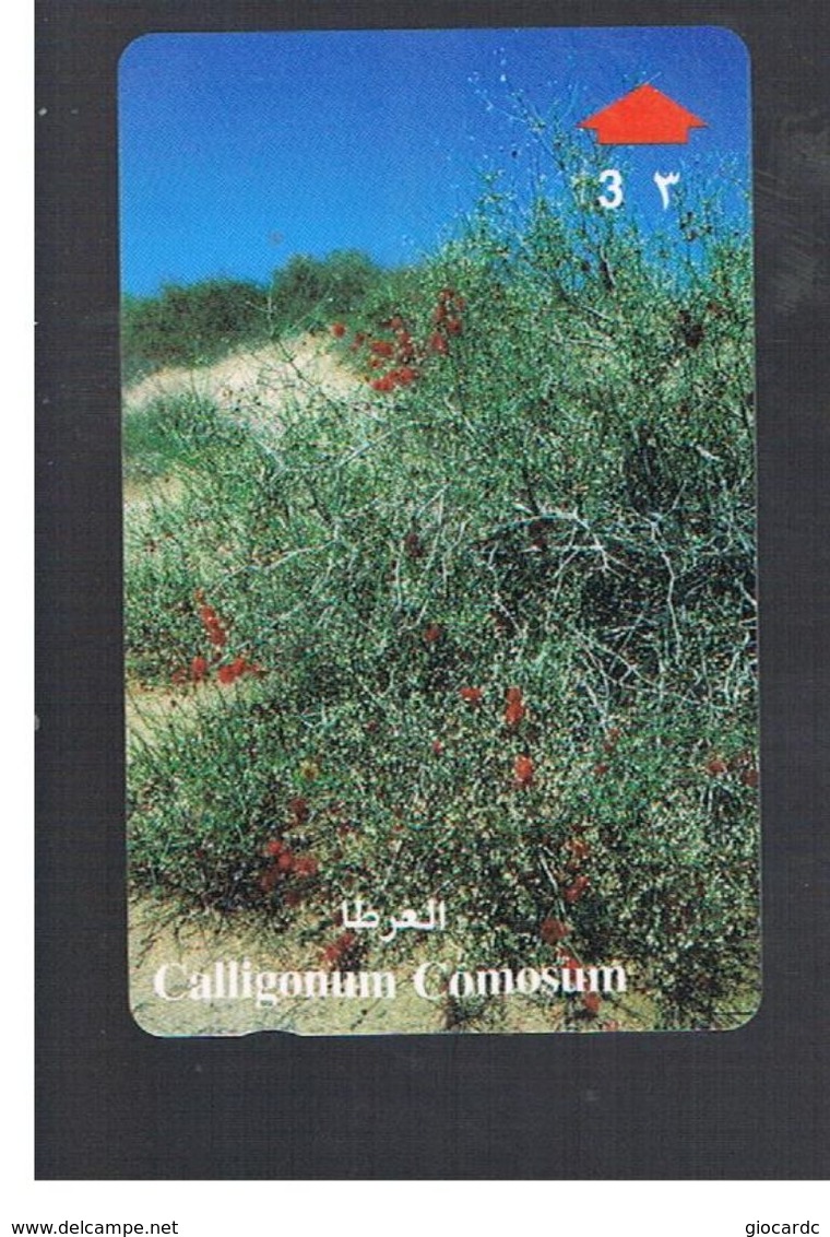 OMAN - MPTT -  PLANTS: CALLIGONUM COMOSUM - USED  -  RIF.  10344 - Fleurs