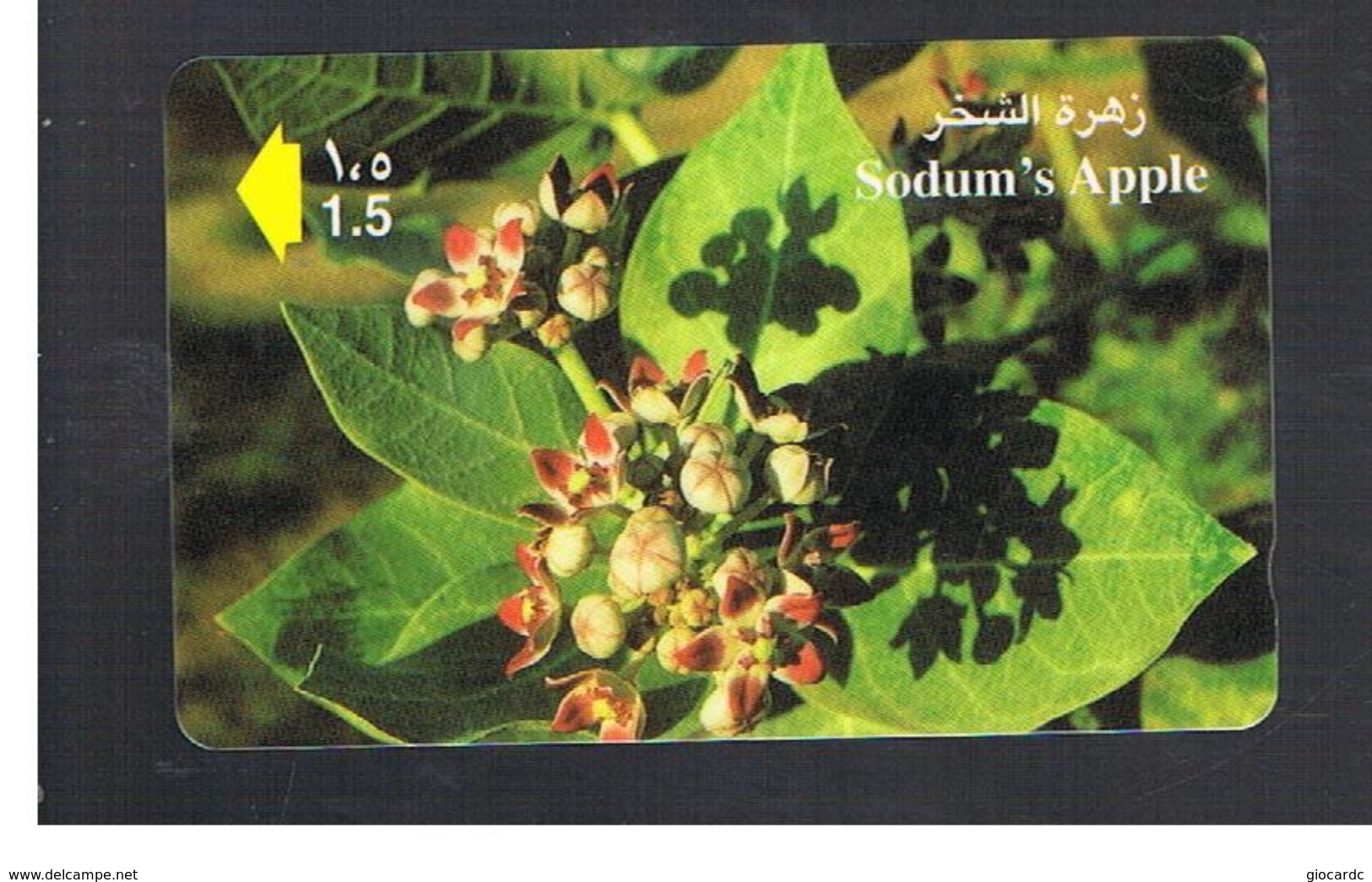 OMAN - MPTT -  PLANTS: SODUM'S APPLE - USED  -  RIF.  10345 - Fleurs
