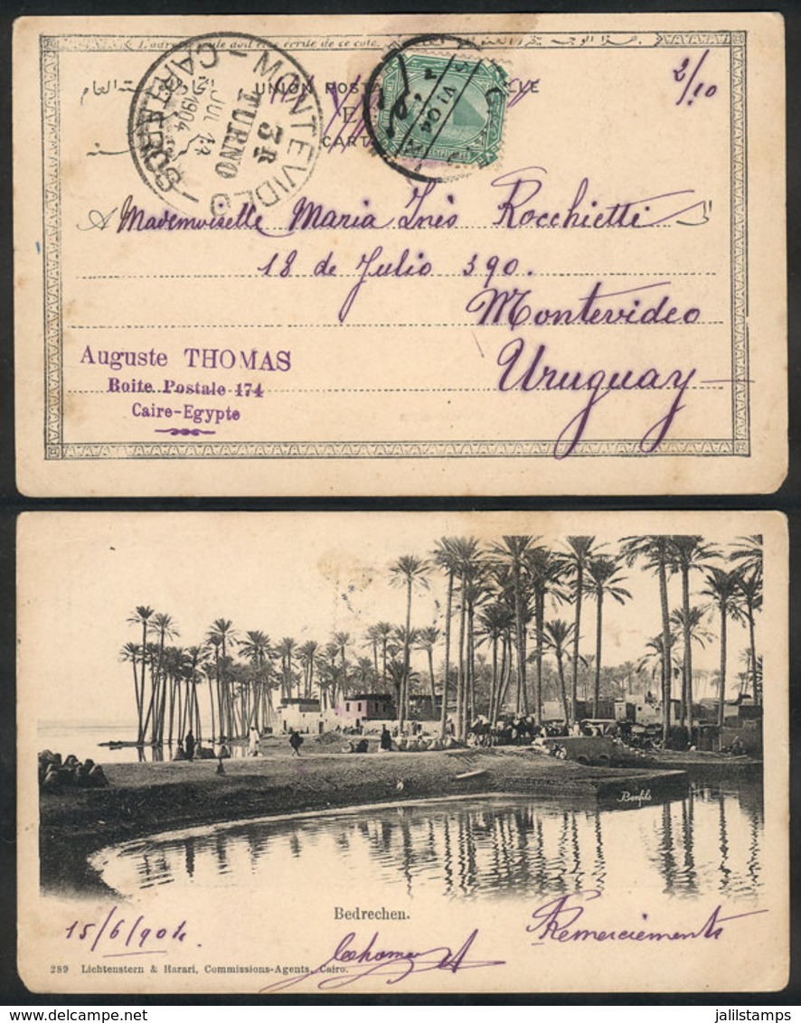 880 EGYPT: Postcard (view Of The Bedrechen Oasis) Sent From Cairo To Uruguay On 5/JUN/1904, VF, Rare Destination! - Otros & Sin Clasificación