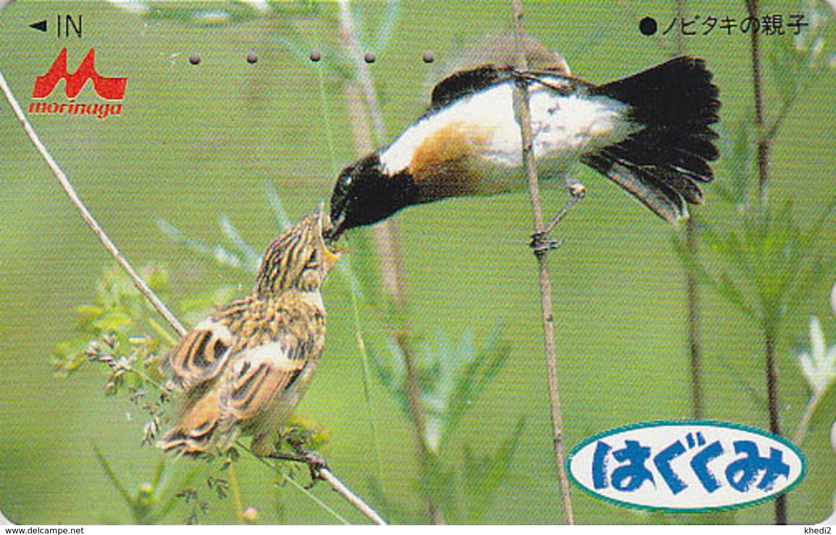 Télécarte Japon / 110-011 - Animal - OISEAU Au Nid - SONG BIRD Feeding Japan Phonecard - BE 4425 - Sperlingsvögel & Singvögel