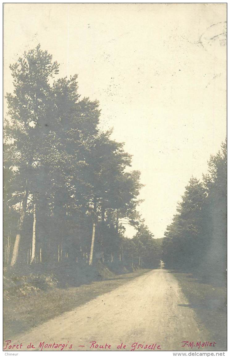 CARTE PHOTO FORET DE MONTARGIS ROUTE DE GRISELLE PAUCOURT - Montargis