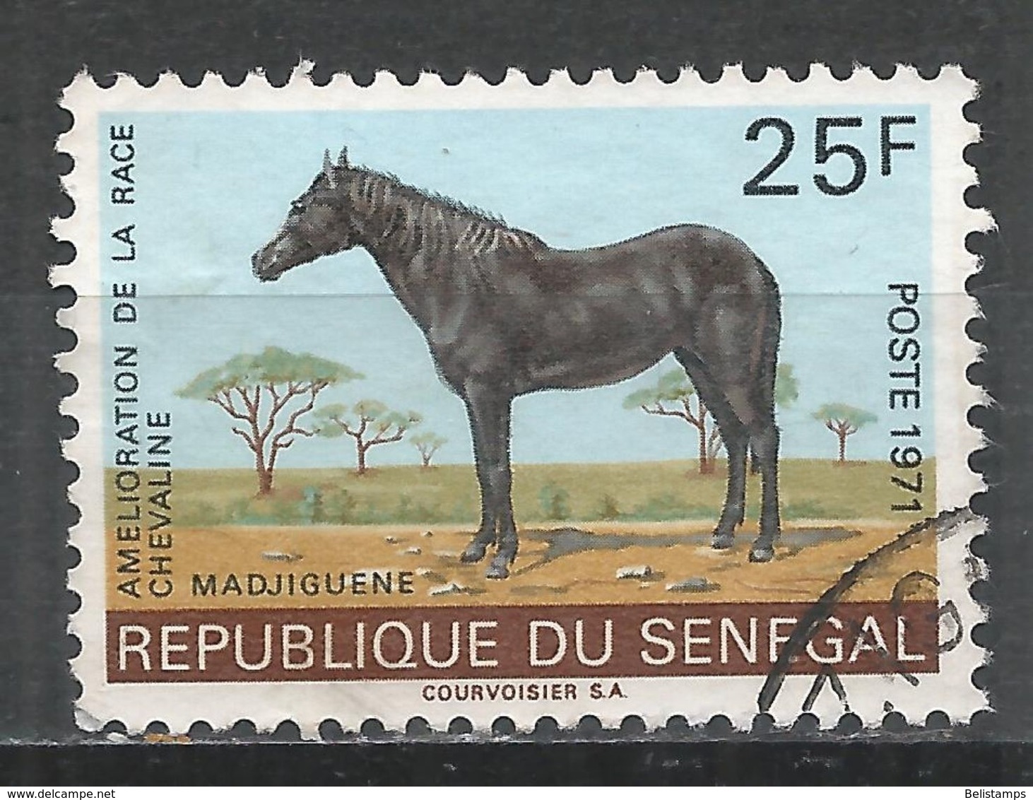 Senegal 1971. Scott #338 (U) Mare ''Mbayang'', Horse - Sénégal (1960-...)