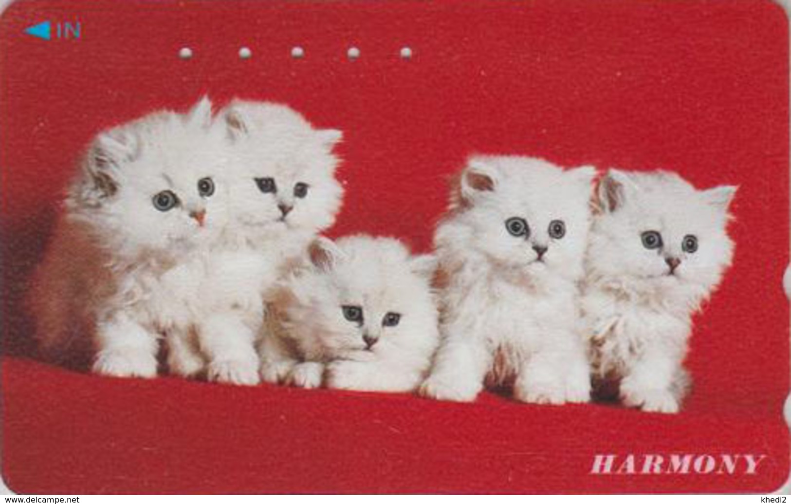 Télécarte Japon / 110-011 - Animal - CHAT Chats - CAT Cats Japan Phonecard - KATZE - 4113 - Cats