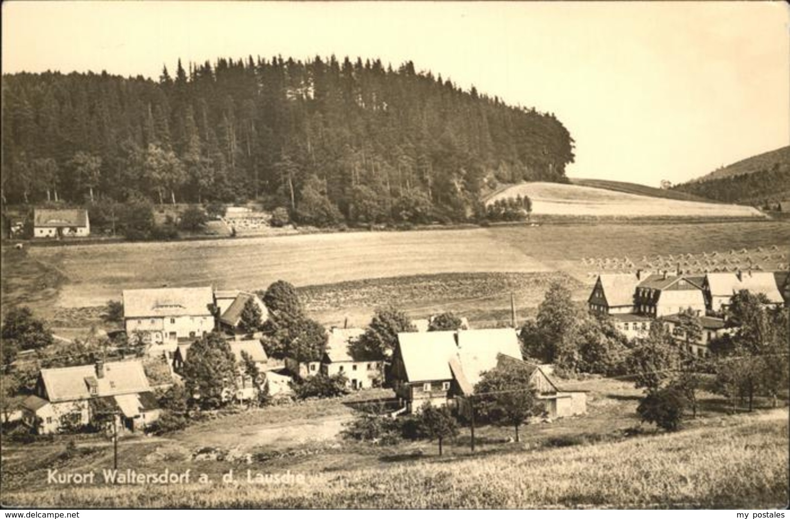 41235571 Waltersdorf Zittau Zittauer Gebirge, Lausche Waltersdorf - Grossschoenau (Sachsen)