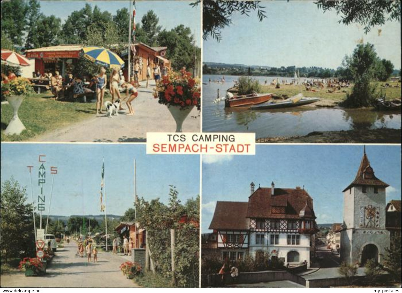 60031870 Sempach LU Campingplatz  / Sempach - Sempach