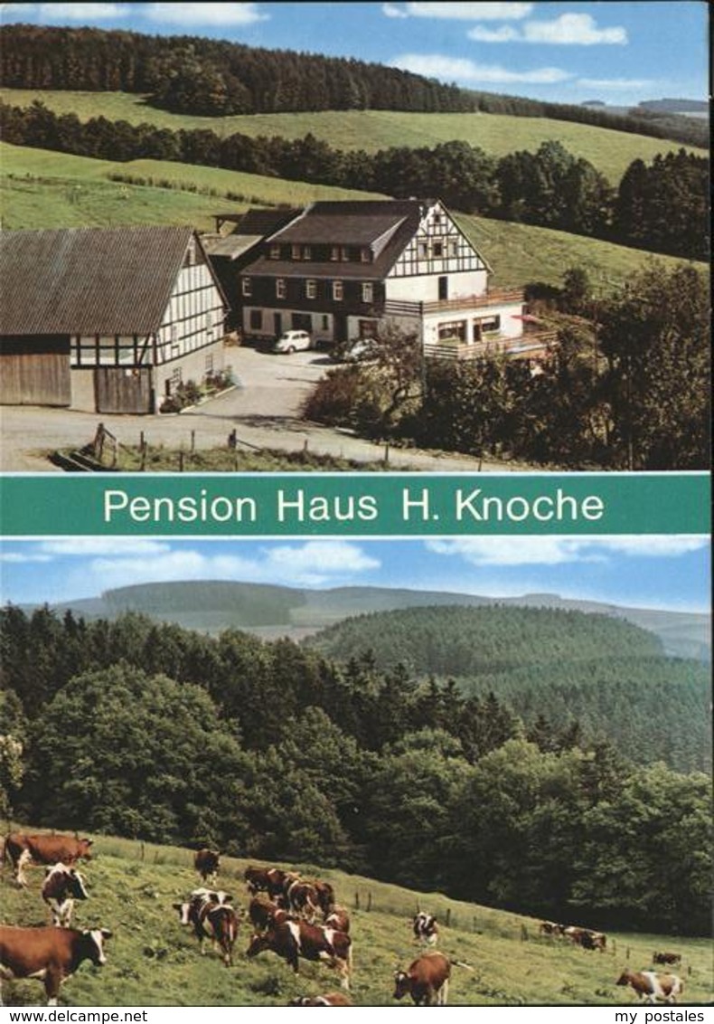 41228167 Twismecke Pension Haus H Knoche Schmallenberg - Schmallenberg
