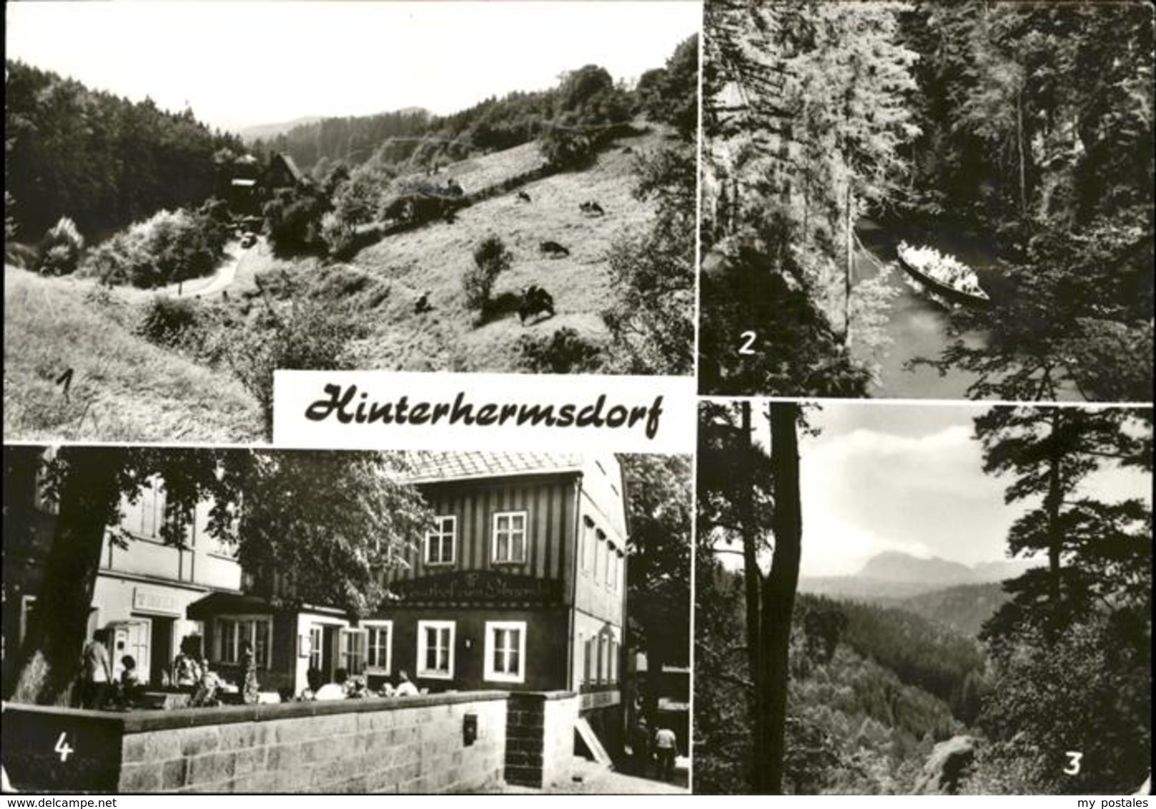 41233975 Hinterhermsdorf Dorfbachtal Kanal Hinterhermsdorf - Sebnitz