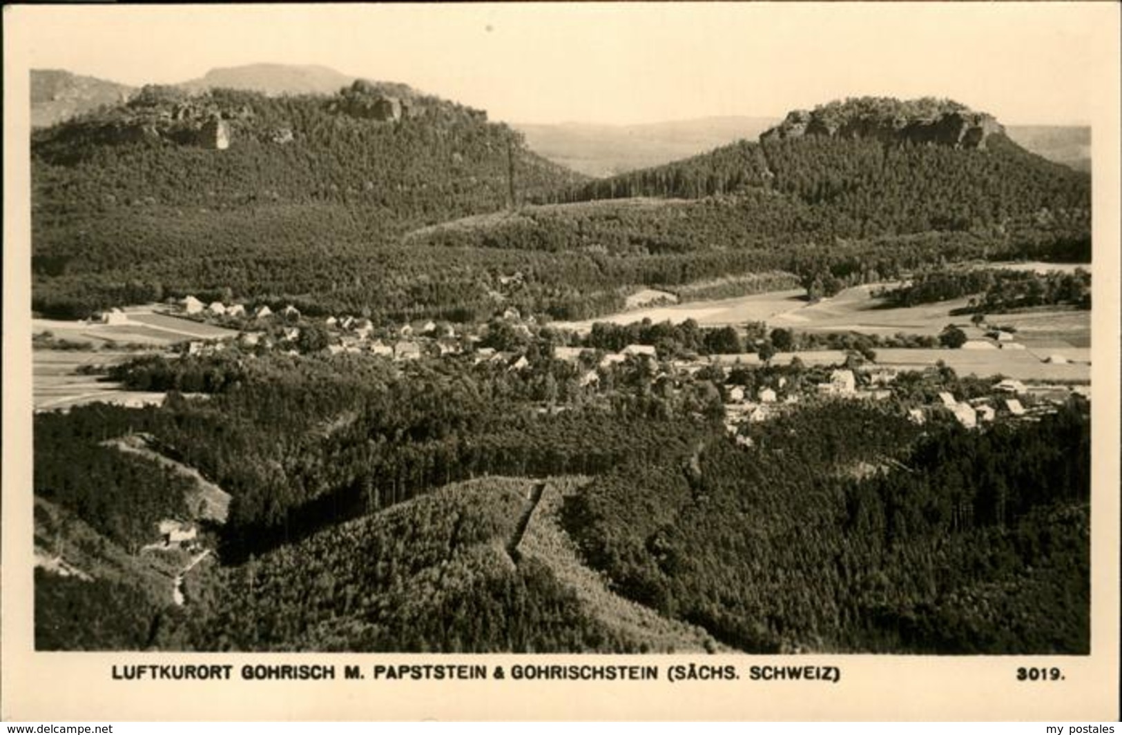 41238815 Gohrisch Papststein, Gohrischstein Gohrisch - Gohrisch