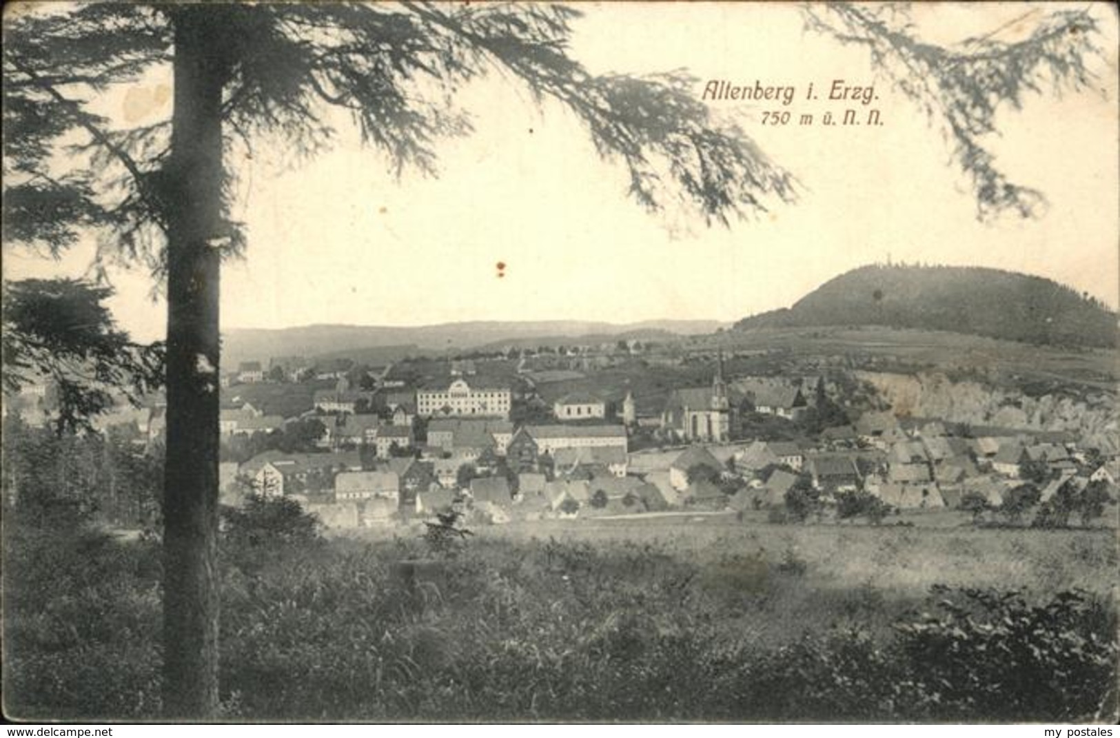 41239499 Altenberg Erzgebirge  Geising - Geising