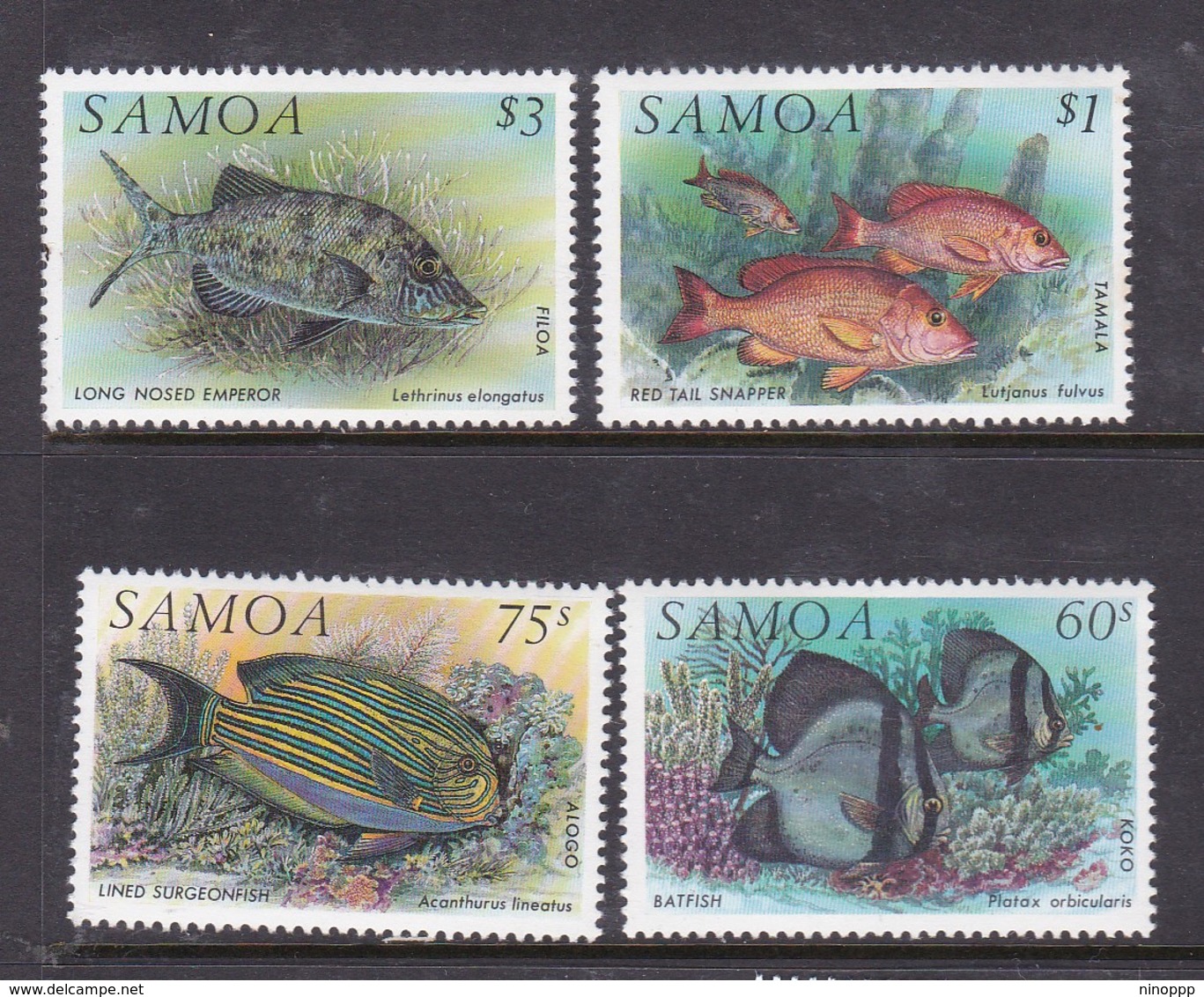 Samoa SG 890-893  1993 Fishes,mint Never Hinged - Samoa