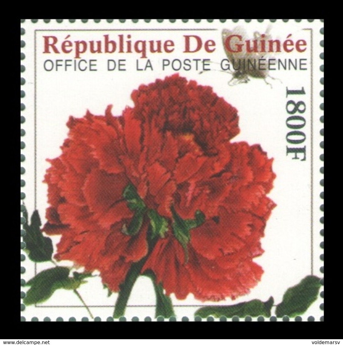 Guinea 2009 Mih. 6490 Flora. Flowers. Peony MNH ** - Guinea (1958-...)