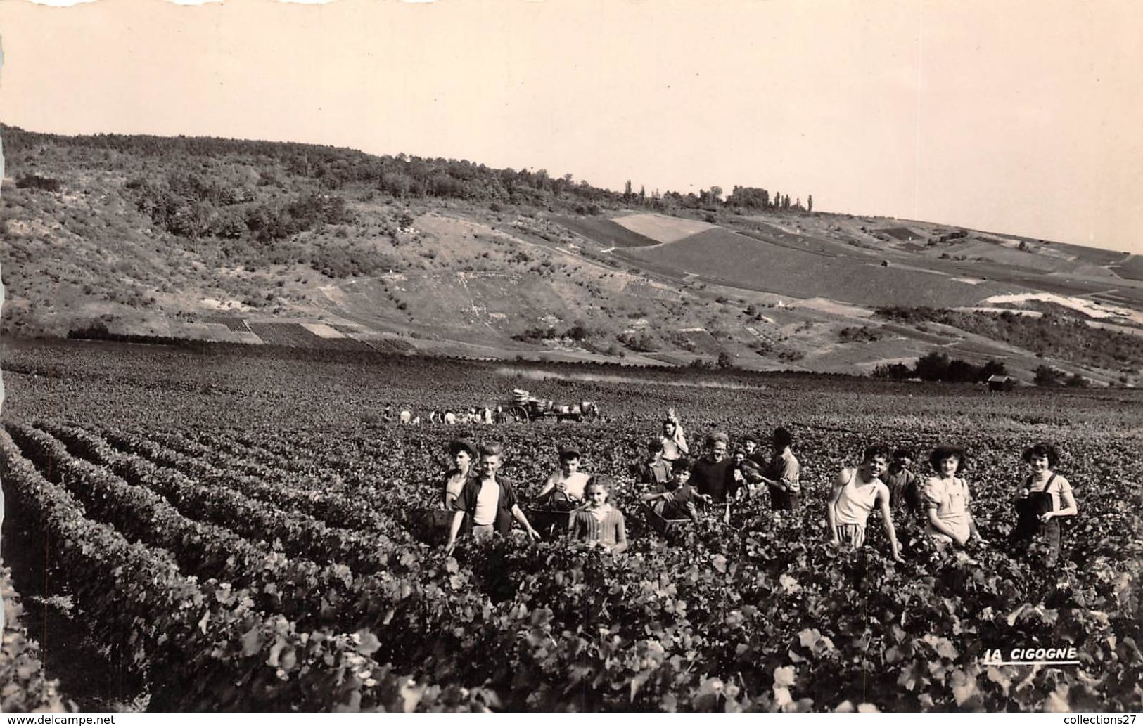 51-AY- SCENE DE VENDANGES - Ay En Champagne