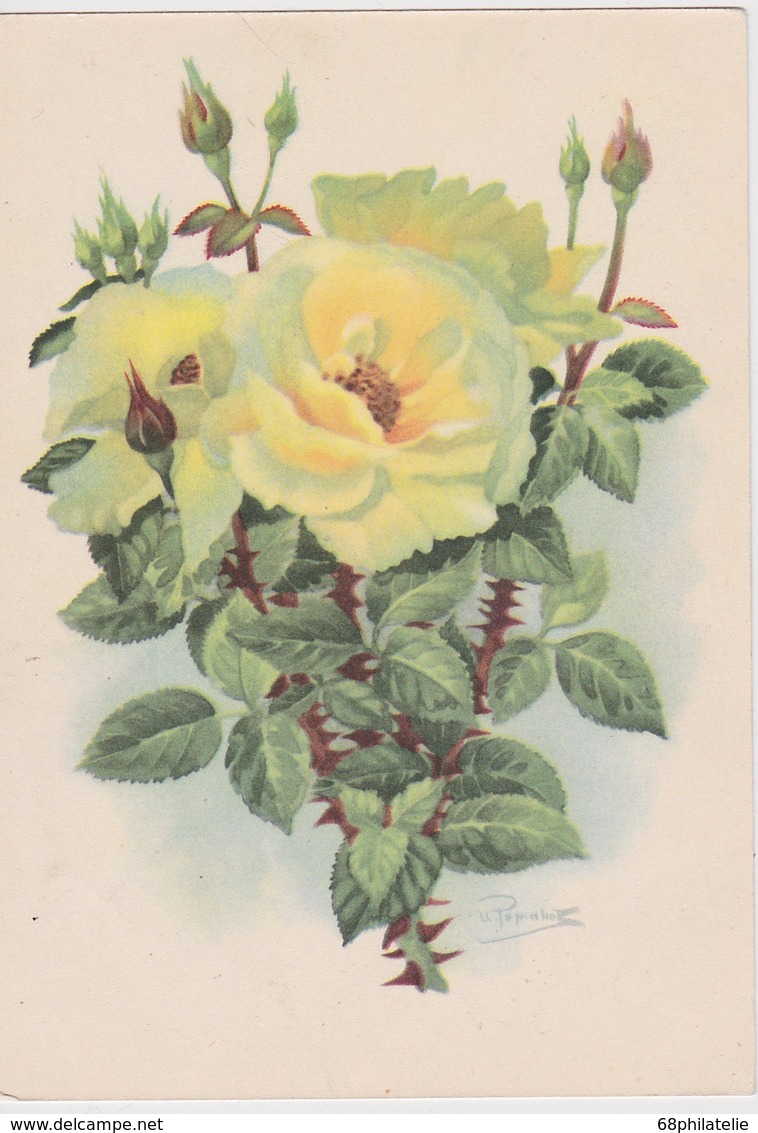 URSS 1958  ENTIER POSTAL CARTE THEME ROSES - 1950-59