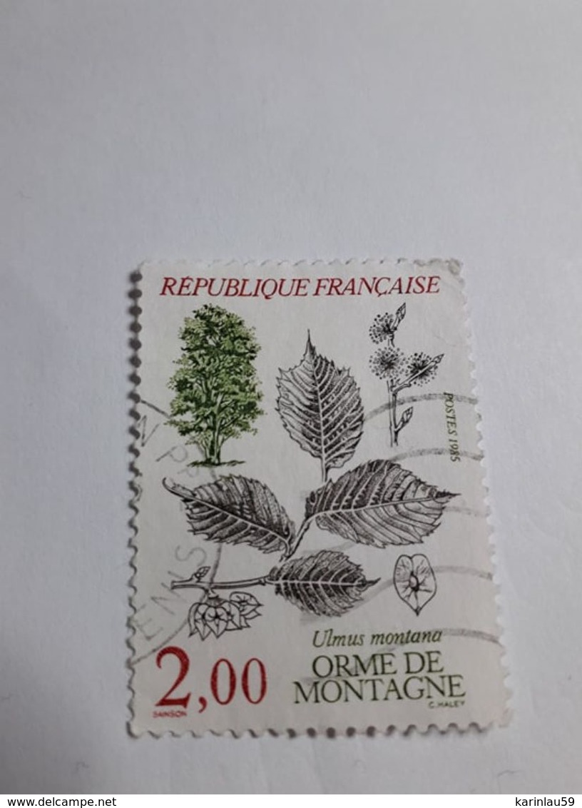 Timbre France 1985 Flore Et Faune Orme De Montagner N° Yvert 2385 Oblitéré - Used Stamps