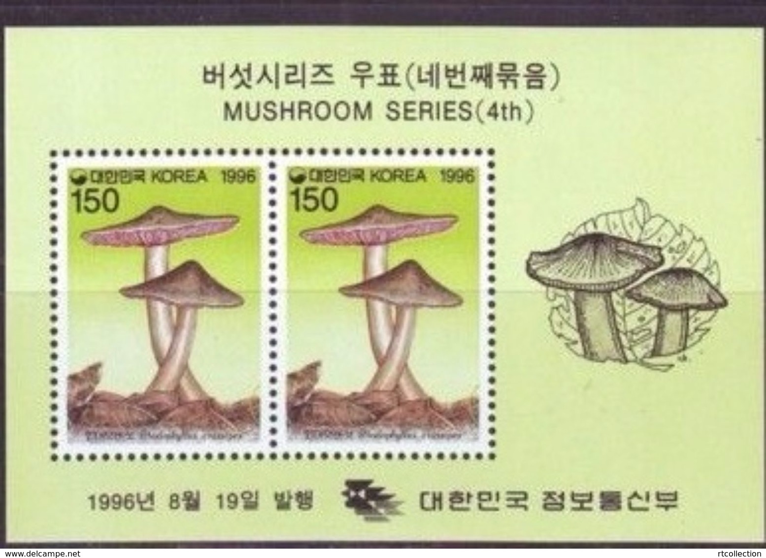 Korea 1996 M/S Plants Mushrooms Rhodophyllus Crassipes Fungi Plant Mushroom Nature CHAMPIGNONS Flora Stamps MNH (1) - Korea, South