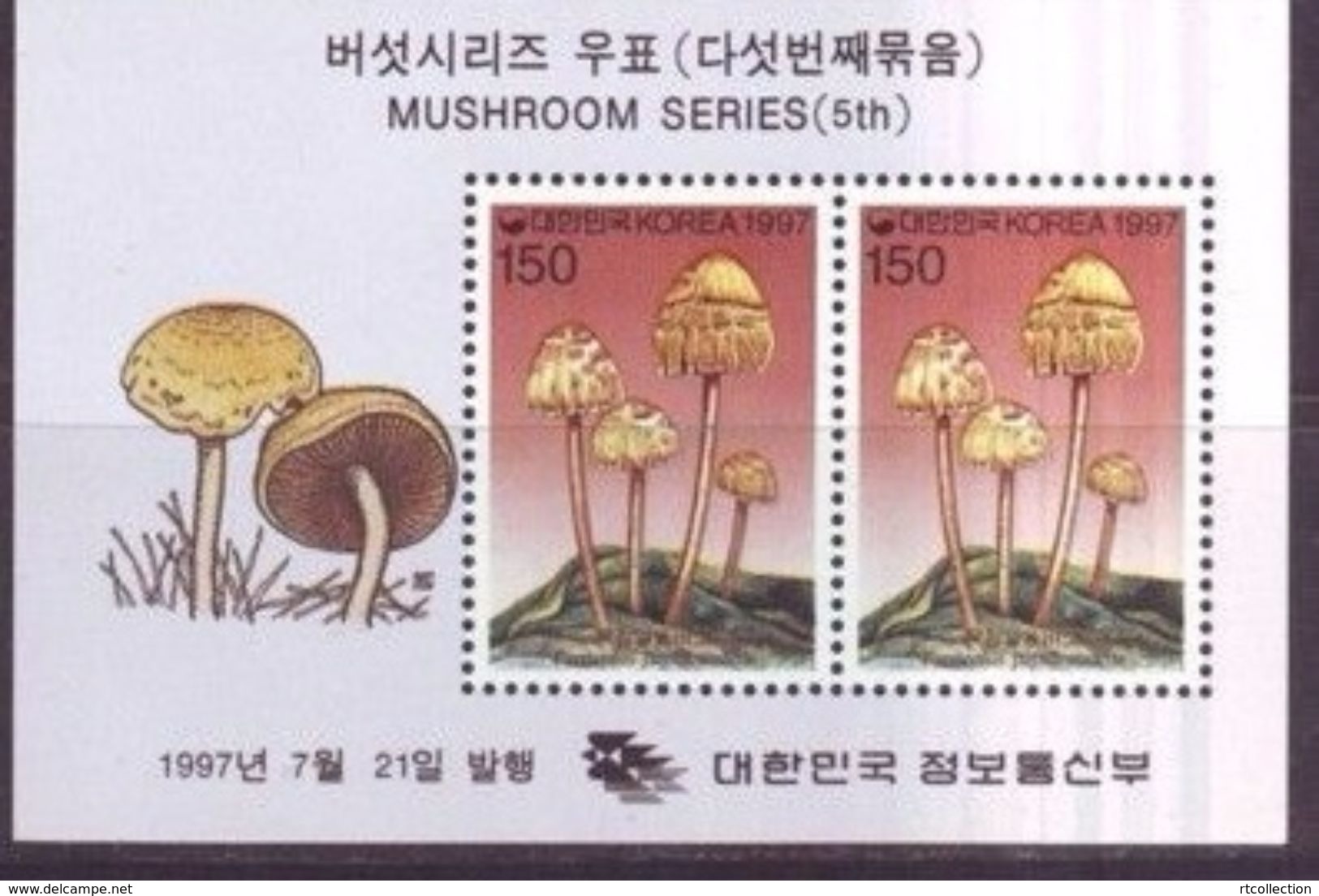 Korea 1997 M/S Plants Mushrooms Amanita Muscaria Fungi Plant Mushroom Nature CHAMPIGNONS Flora Stamps MNH (2) - Korea, South