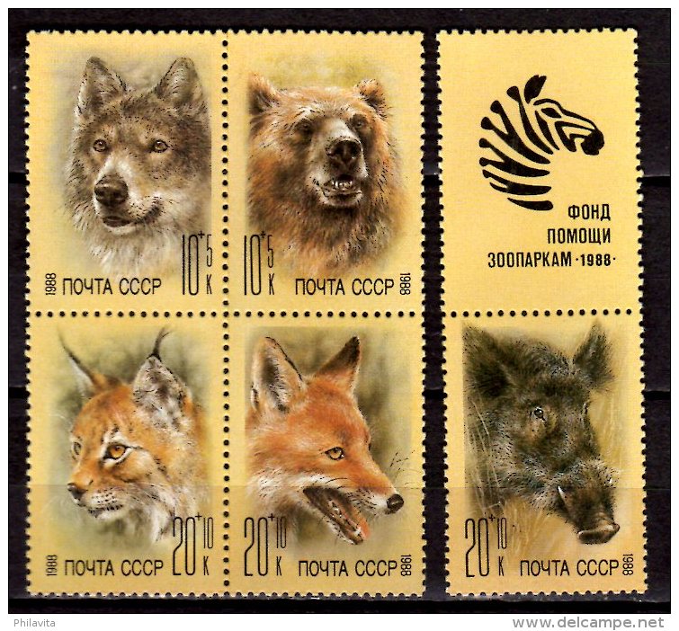 1988 USSR - WIld Animals - Bear, Linx, Wolf, Fox, Wild Boar - Set Of 5 + Coupon II- See Scan - Mi 5877/5881 - Mnh** - Felinos