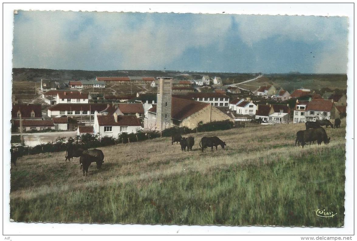 CPSM COLORISEE EQUIHEN PLAGE, LE PANORAMA, VACHES, Format 9 Cm Sur 14 Cm Environ, PAS DE CALAIS 62 - Autres & Non Classés