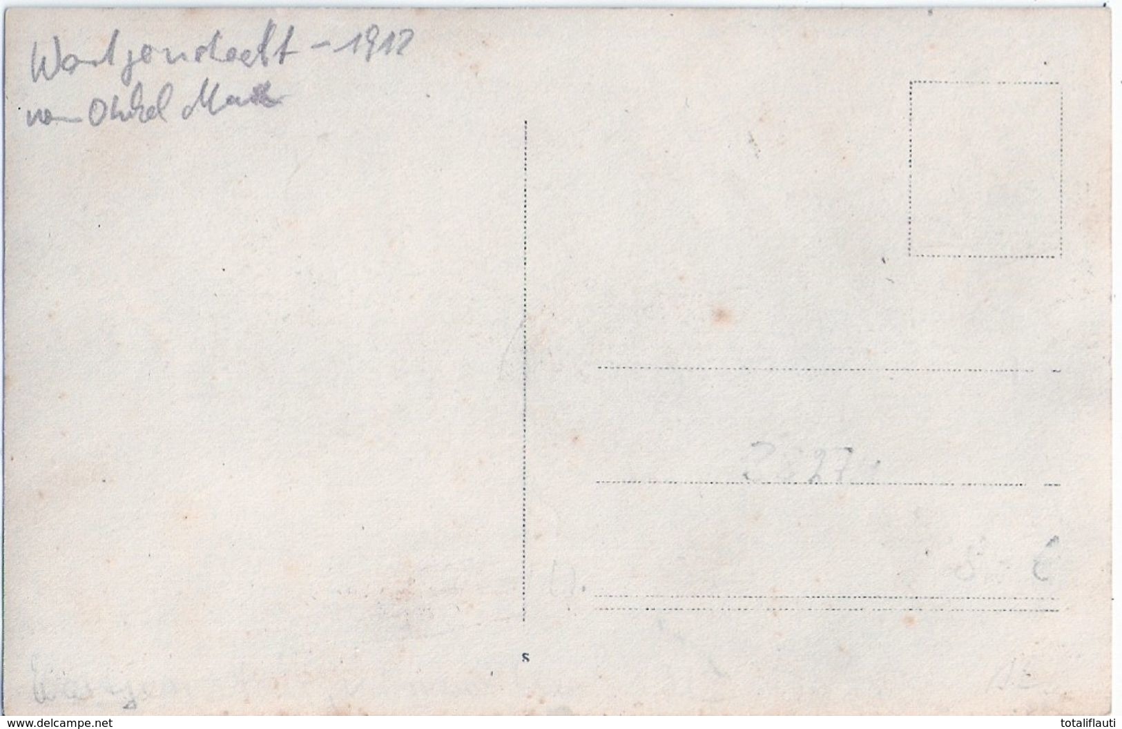 WARTJENSTEDT Gem Baddeckenstedt Lkr Wolfenbüttel 1912 Original Private Fotokarte Ungelaufen - Wolfenbuettel