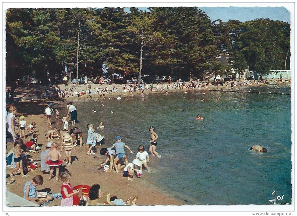 CPSM TRES ANIMEE CONLEAU, LA PLAGE TRES ANIMEE ET LA PISCINE, MORBIHAN 56 - Autres & Non Classés