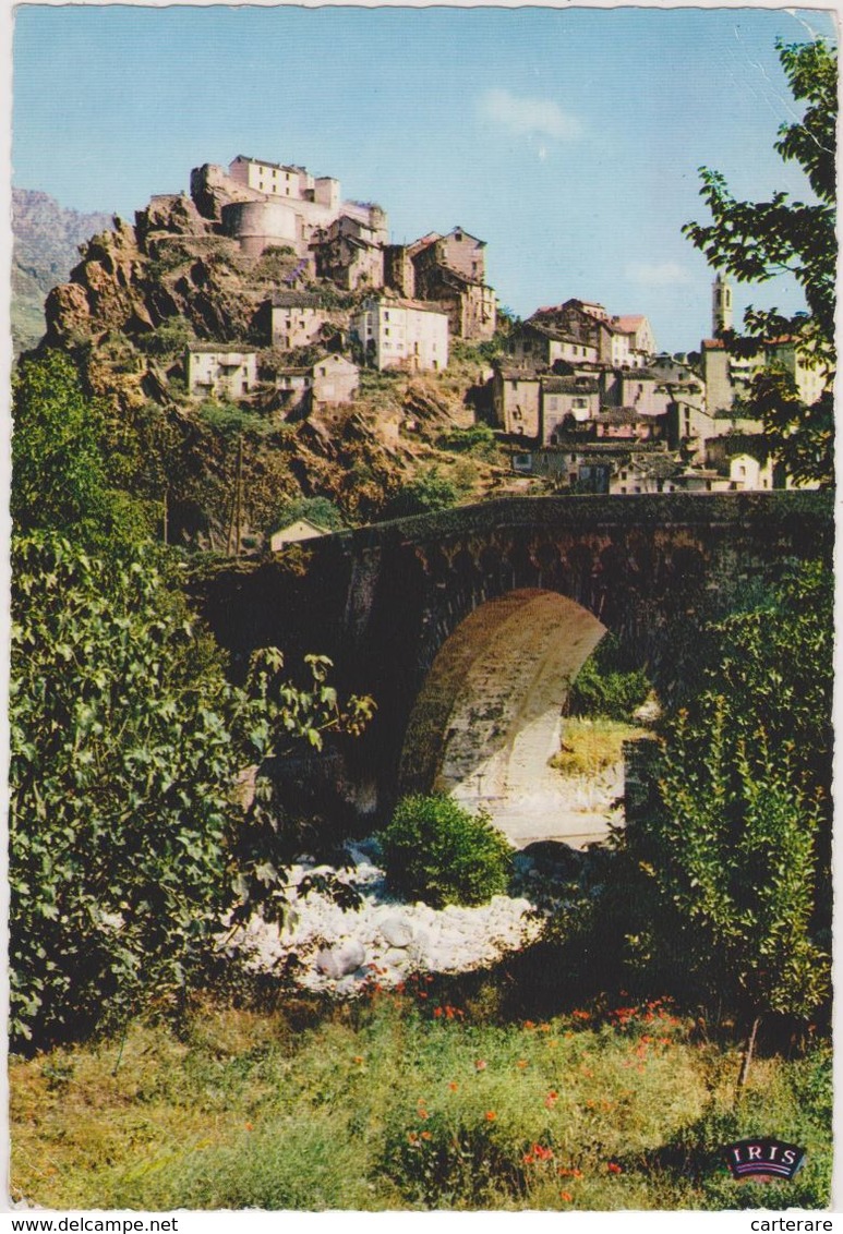 HAUTE CORSE,CORSICA,CORTI,CORTE ,ROCHER,PONT - Corte