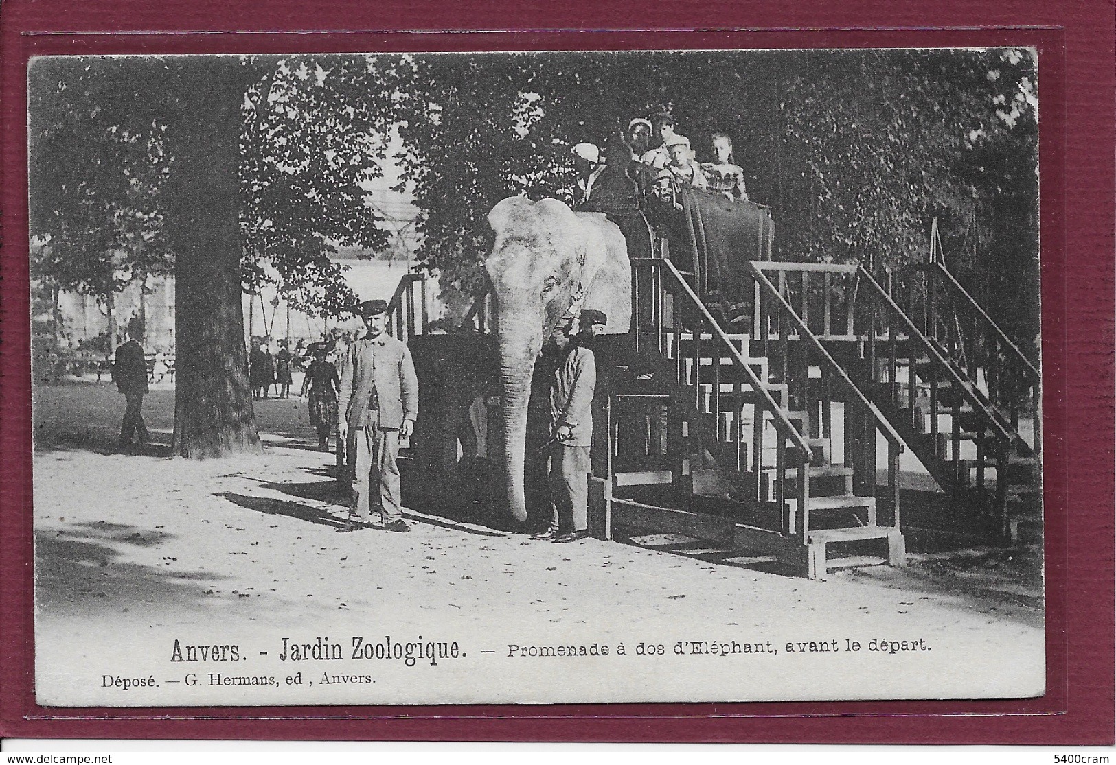 ANTWERPEN-ANVERS:  ZOO-HERMANS-PROMENADES à DOS D'ELEPHANT , AVANT LE DEPART-OLIFANT-MET VOLK, - Antwerpen