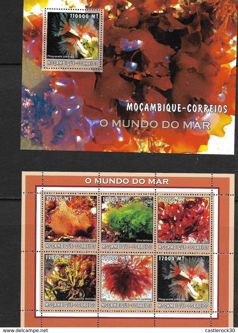 O) 2002 MOZAMBIQUE, ALGAE - GENUS, KALLYMENIA -ULVA LACTUCA- CHONDRUS-GIGARTINA-FILOGRANELLA. THE WORLD OF THE SEA, MNH - Mozambique