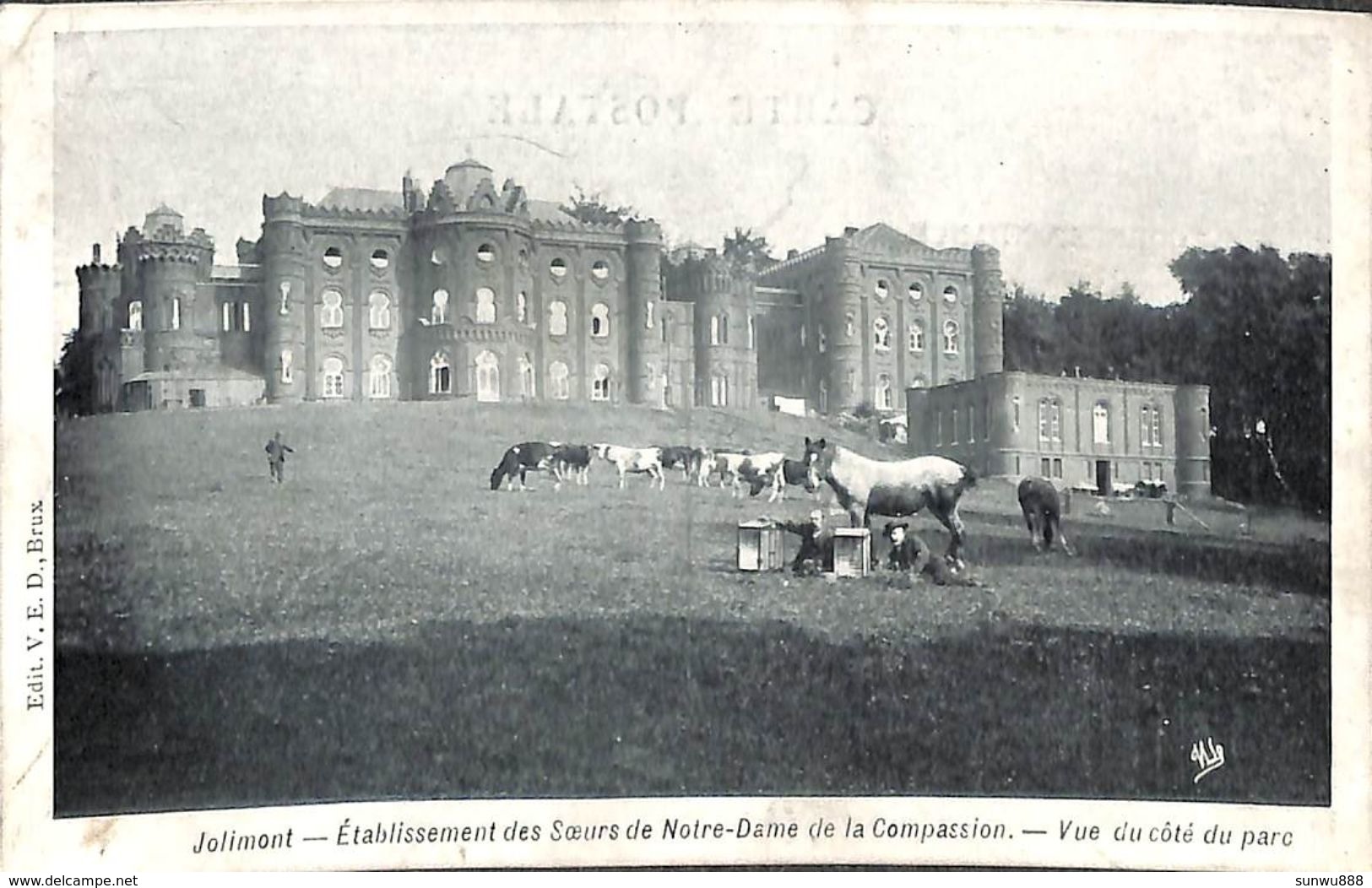 Jolimont - Etablissement Des SOeurs De Notre-Dame - Vue Du Côté Du Parc (animée, VED, Vaches, Chevaux) - La Louvière