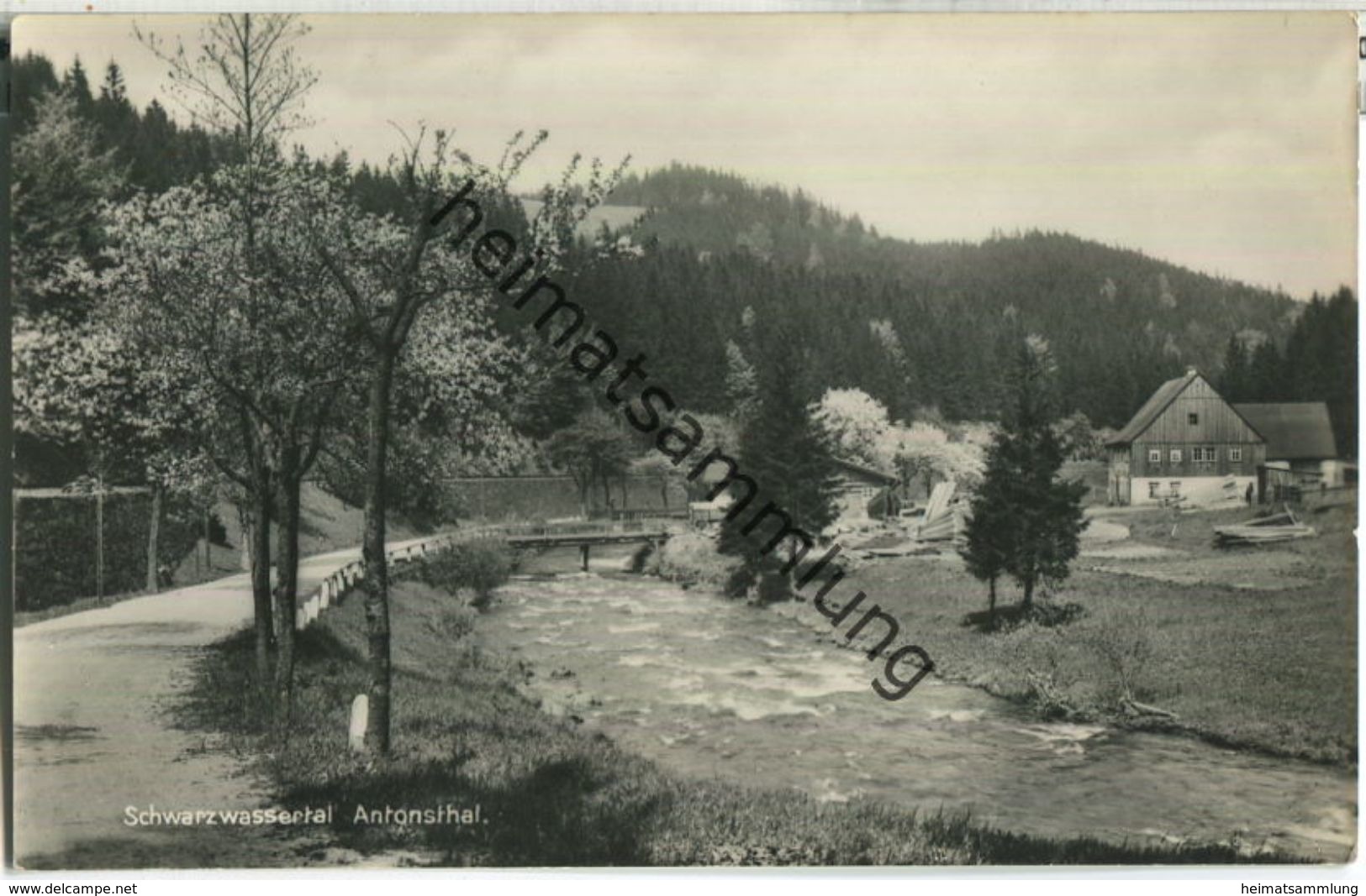 Schwarzwassertal - Antonsthal - Foto-AK - Posthilfstellenstempel - Verlag Franz Landgraf Zwickau - Breitenbrunn