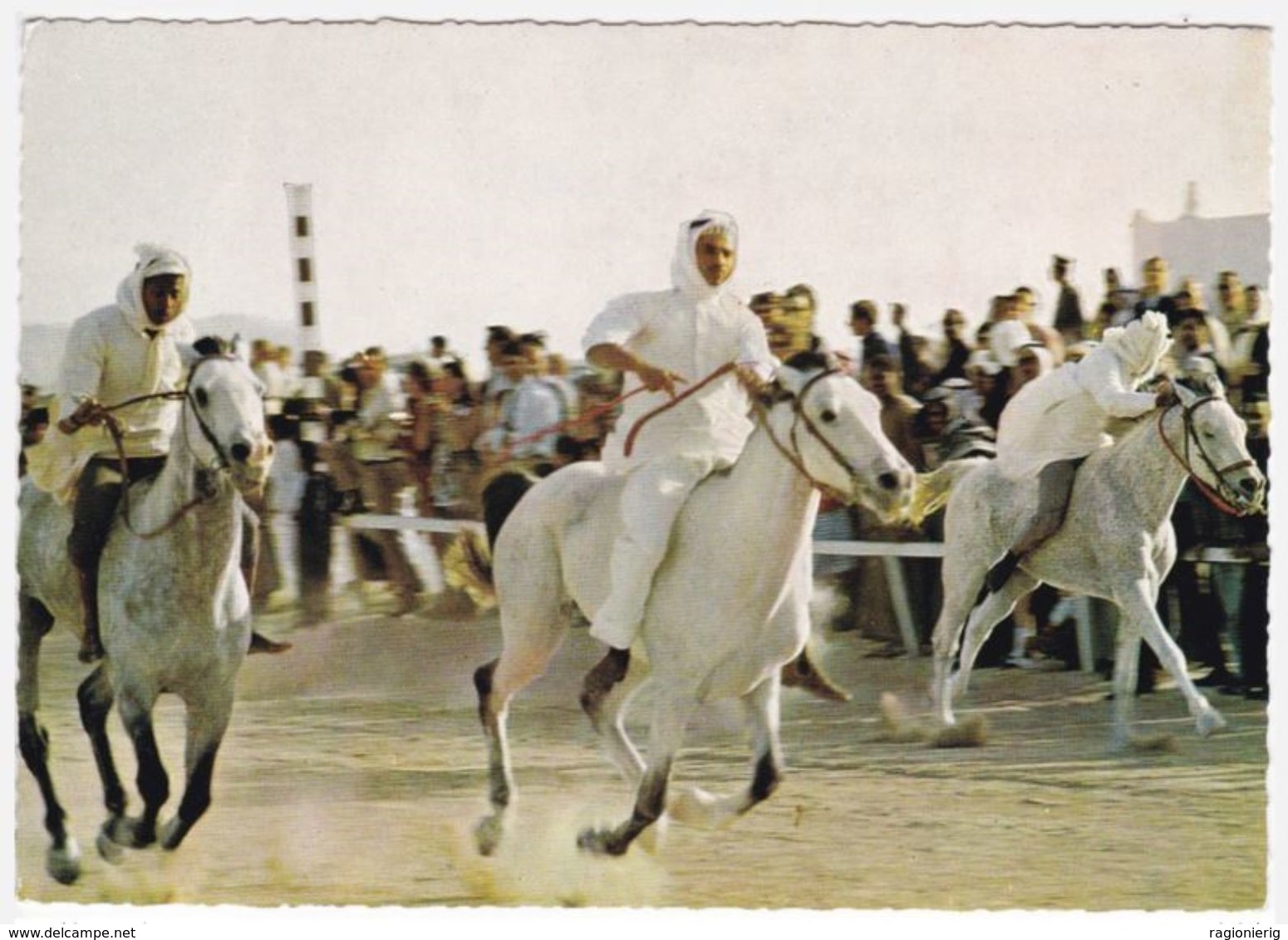 BAHRAIN / BAHREIN - Horse Race - Rifa - Bahrain