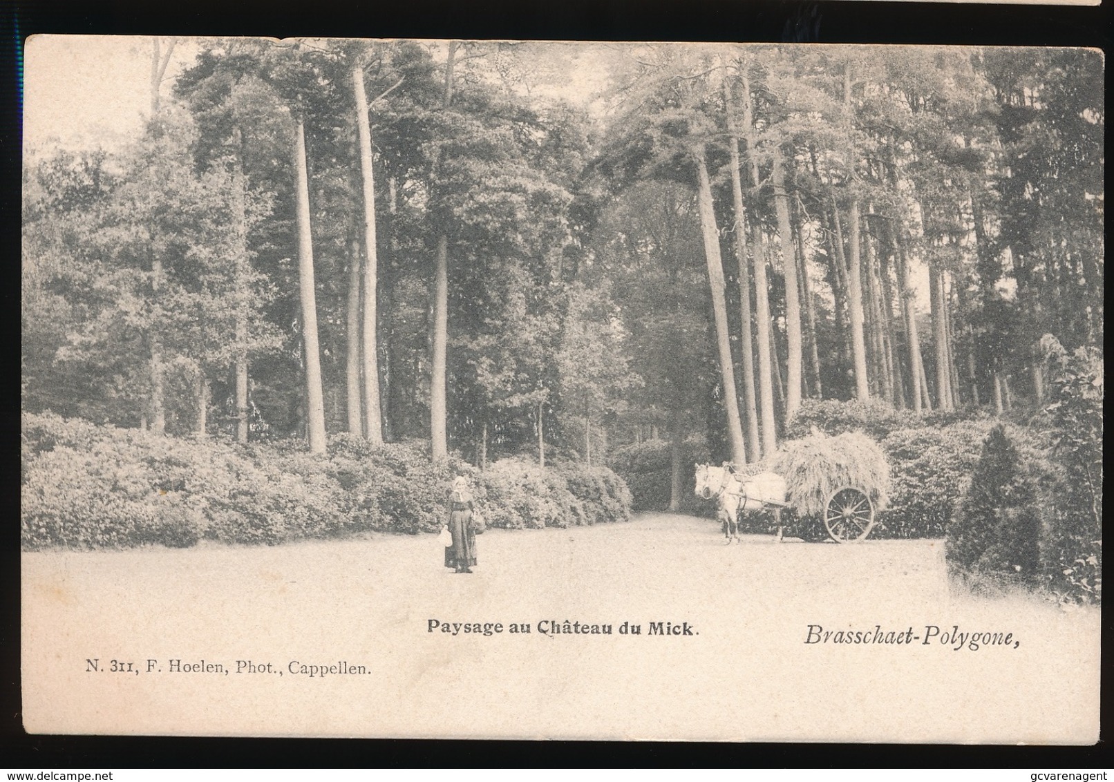 BRASSCHAAT POLYGONE  === PAYSAGE AU CHATEAU DU MICK - Brasschaat