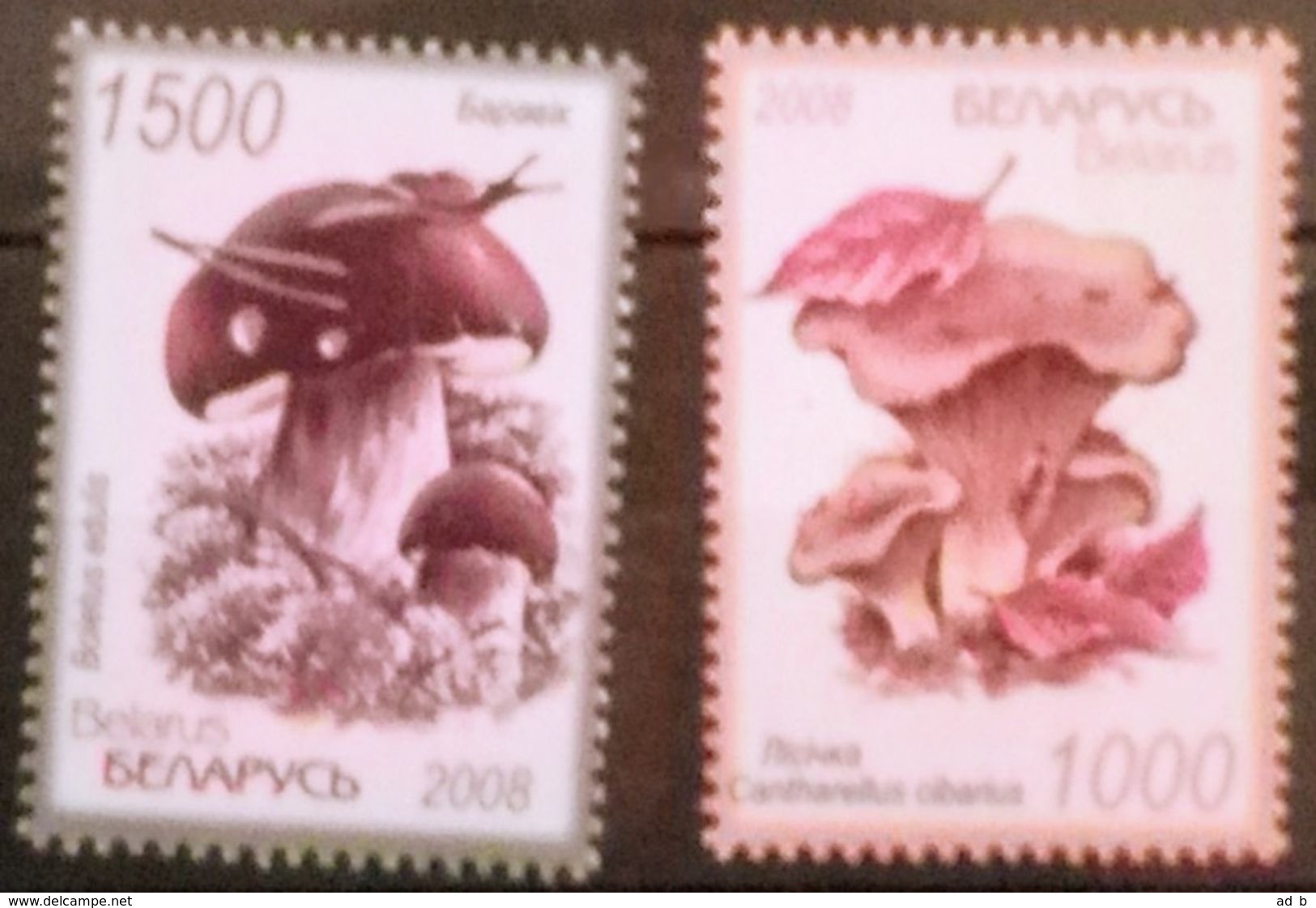 Belarus 2008. Mushrooms. Set Of 2 Stamps. MNH - Belarus