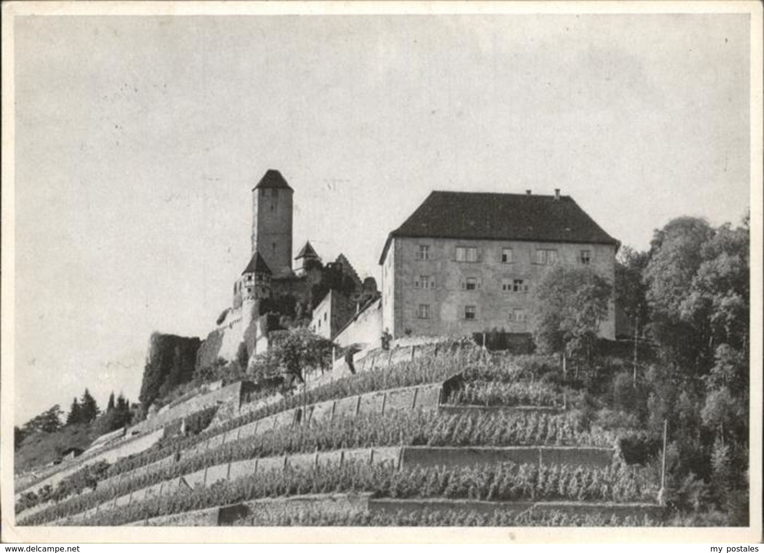 41263313 Hornberg Altensteig Ruine Hornberg Altensteig - Altensteig