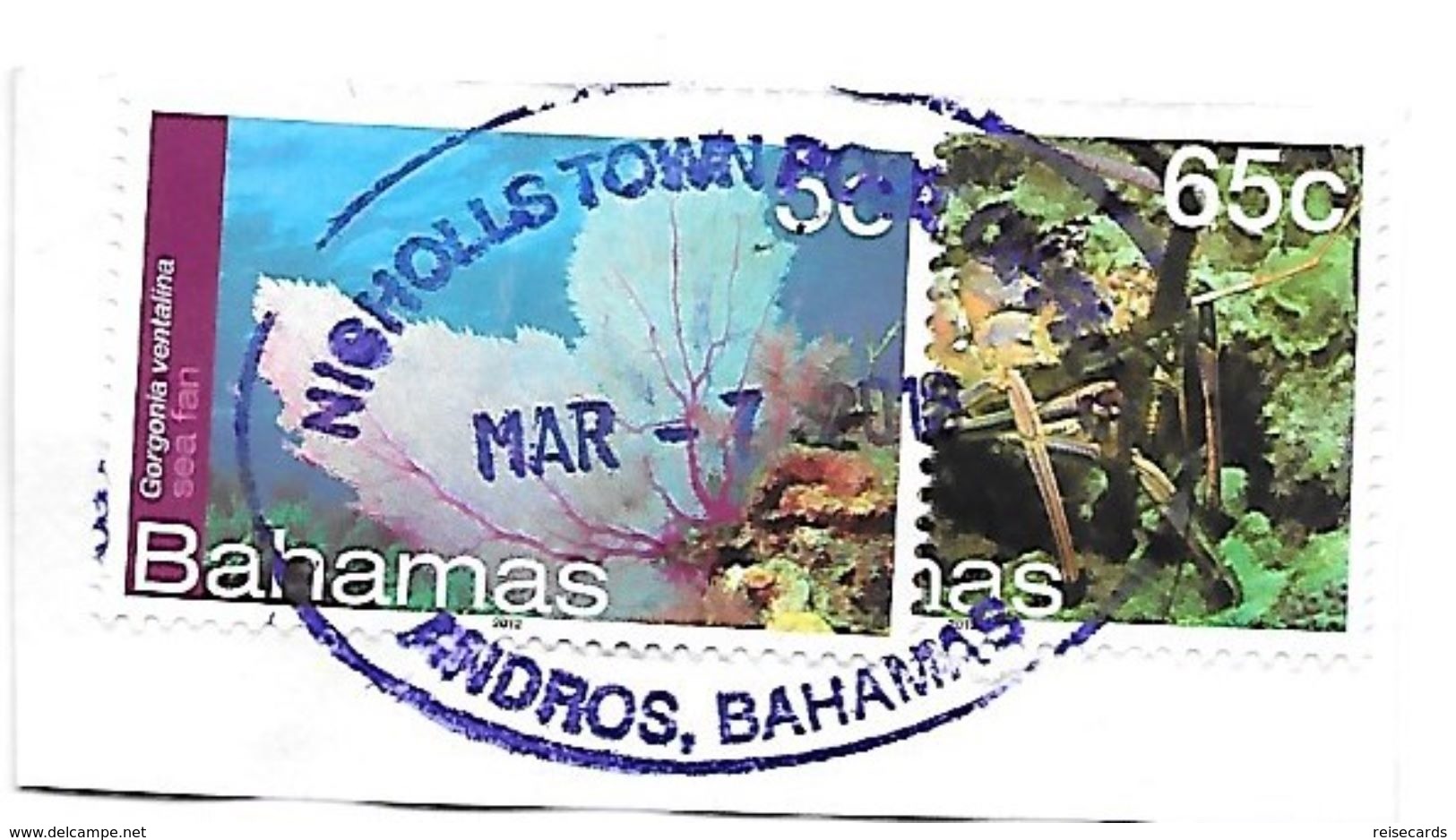 Bahamas: Unterwasserwelt - Meereswelt