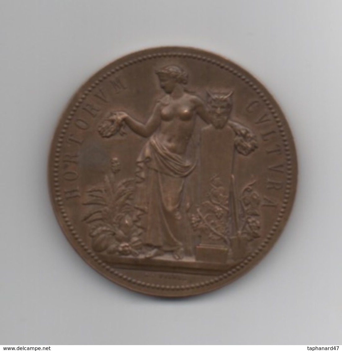 Médaille En Bronze "Sosièté Nationale D'Horticulture De France" . Attribuée . Mai 1899 . - Professionali / Di Società