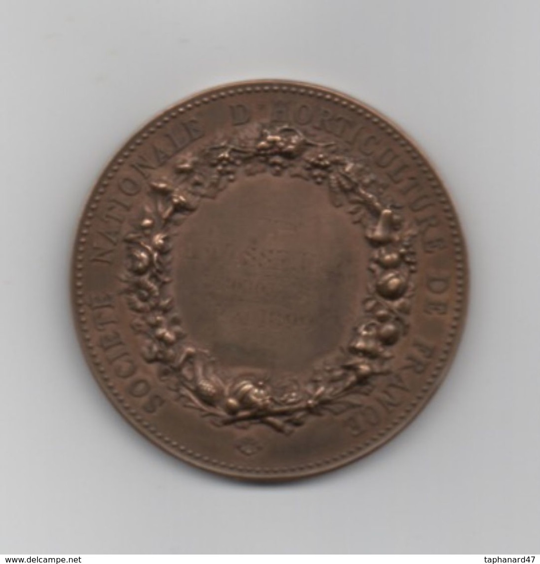 Médaille En Bronze "Sosièté Nationale D'Horticulture De France" . Attribuée . Mai 1899 . - Professionali / Di Società