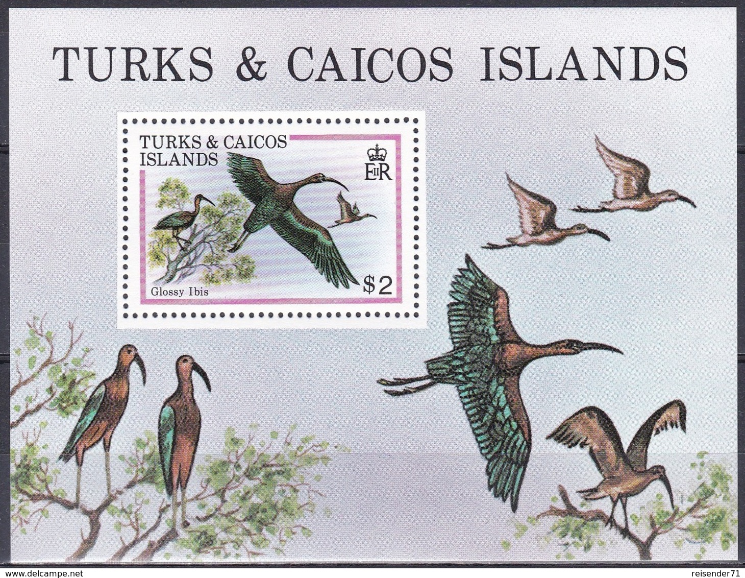 Turks Und Caicos 1980 Tiere Fauna Animals Vögel Birds Oiseaux Pajaro Uccelli Sichler Ibis, Bl. 21 ** - Turks & Caicos