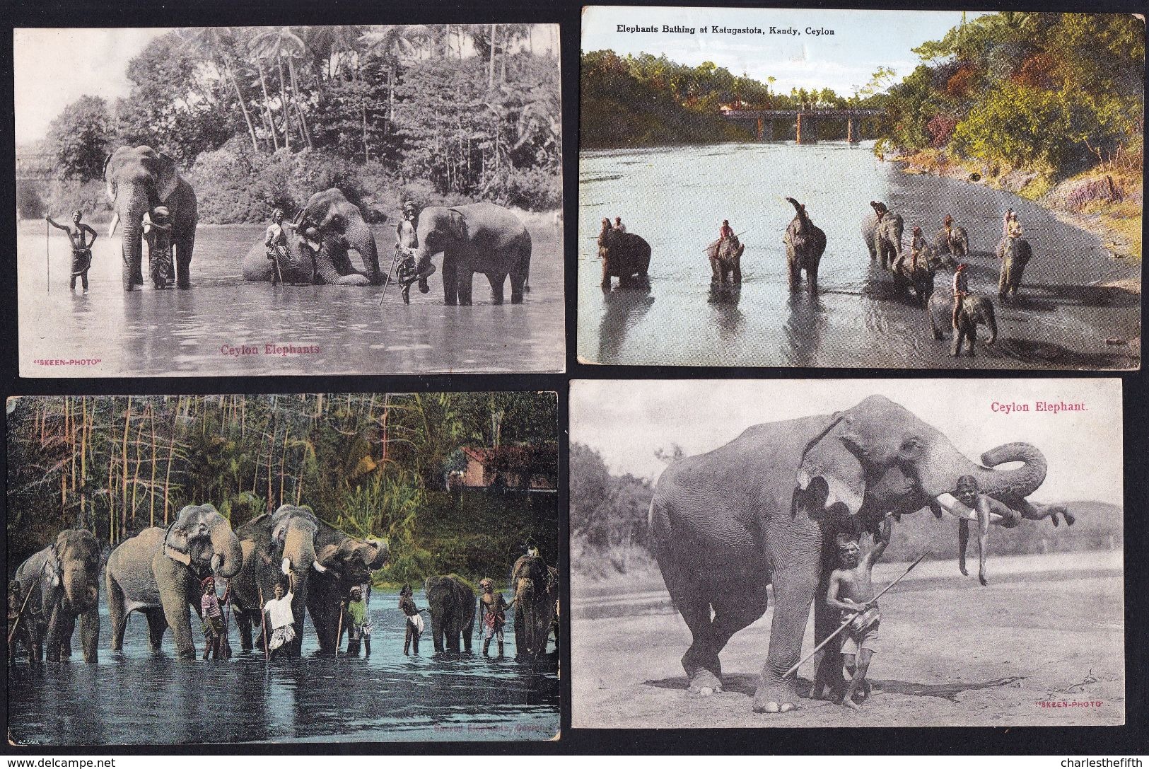 4 X OLD CARD CEYLON ** ELEPHANTS ** - Sri Lanka (Ceylon)