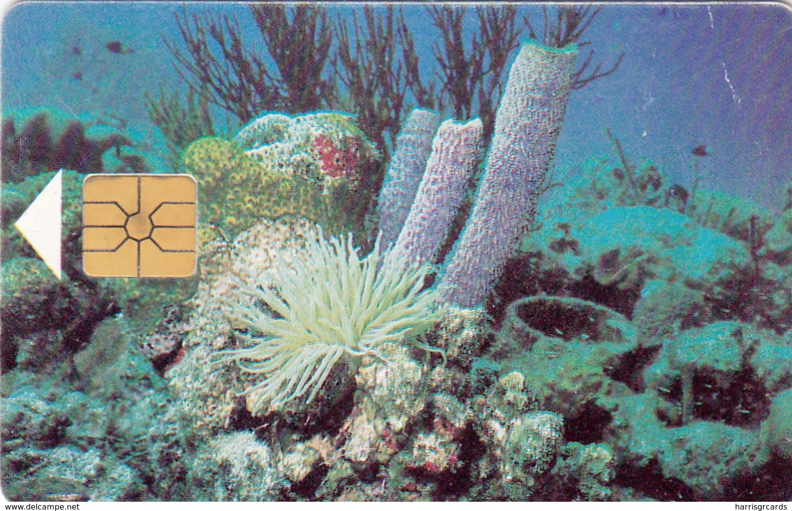 ANTILLES BONAIRE - Coral Reefs (Black Chip) , 60 U, 10/97, Used - Antillas (Nerlandesas)