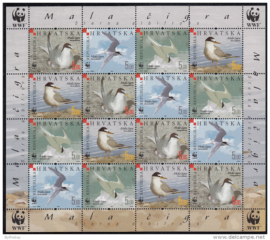 Croatia 2006 MNH Scott #621 Sheet Of 16 4 Strips Of 4 WWF Sterna Albifrons - Croatie